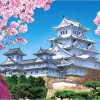 【姫路城】桜2017の見頃や混雑状況について