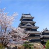 【松本城】桜2017の見ごろはいつ？駐車場情報も必見！