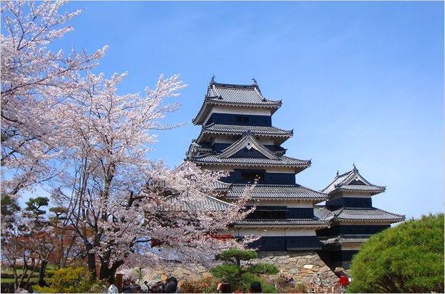 松本城の桜2017