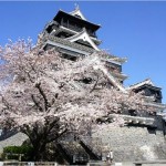 【熊本城】桜まつり2017の日程は？見ごろや開花予想も紹介！