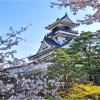 【高知城】桜2017の開花状況やライトアップについて