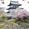 【弘前城】桜2017の見頃や開花予想について