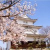 【丸亀城】桜2017の開花情報は？駐車場も要チェック!!