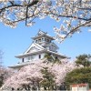 【長浜城】桜2017の見頃や開花予想について