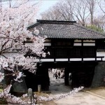 【小諸城】桜2017の開花予想や駐車場情報は？