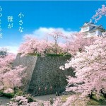 【津山城】桜2017の開花状況や見ごろについて ※岡山県