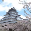 【会津若松城】桜2017の開花予想やライトアップ情報は？