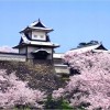 【金沢城】桜2017のライトアップの時間は？見ごろはいつ？