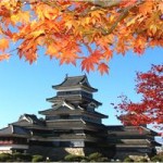 松本城の紅葉のライトアップや見頃について！駐車場は無料？